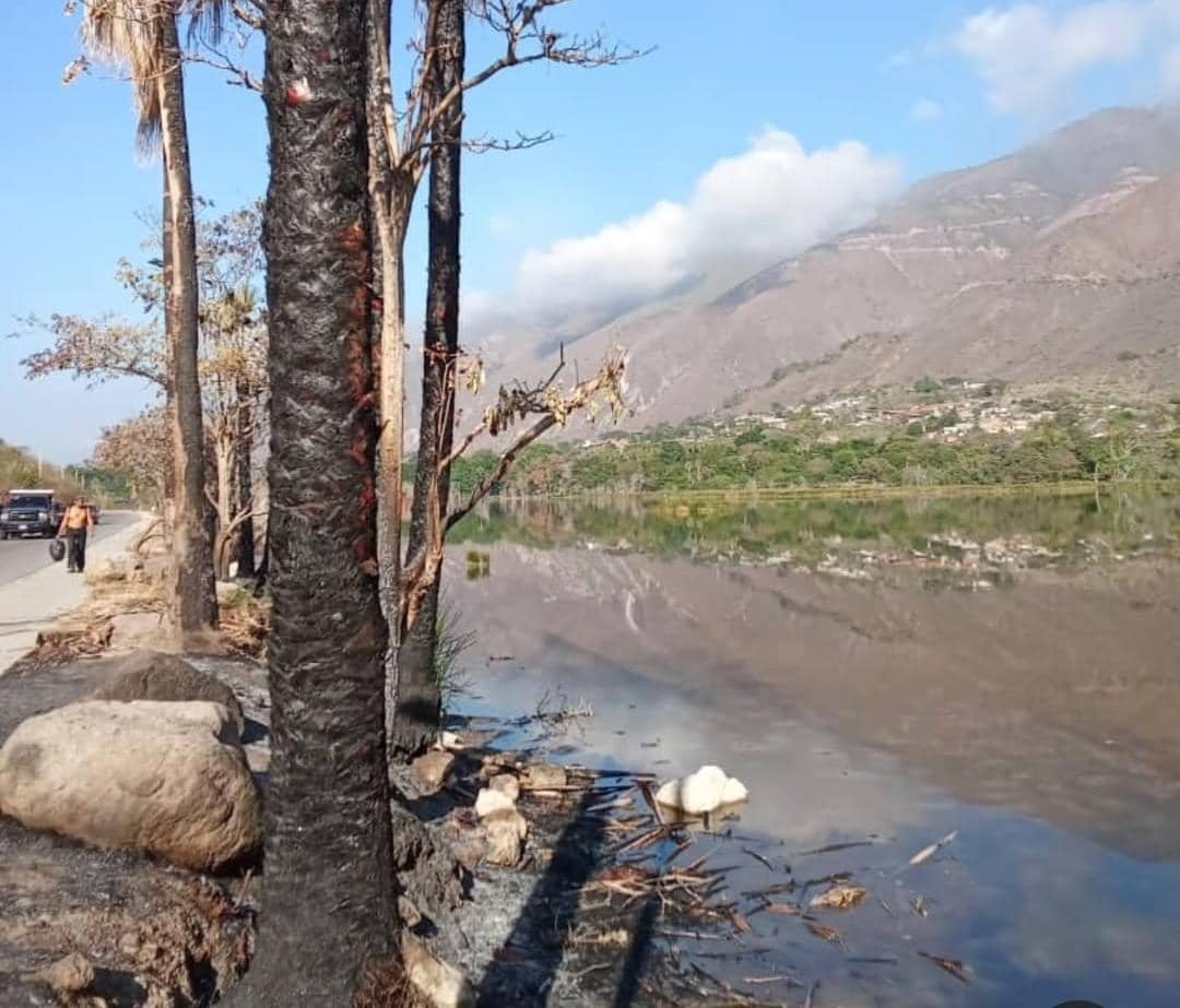 The «Laguna de Urao» Ecological Foundation in Mérida denounced the threaten Venezuelan biodiversity