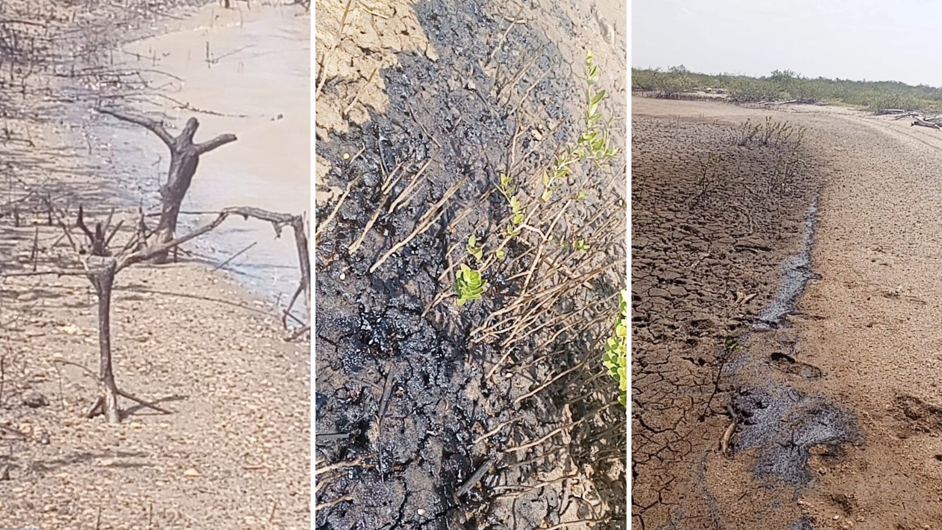 Another oil spill in Gulf of Coro: fishermen ask Pdvsa to clean up and not just rake over
