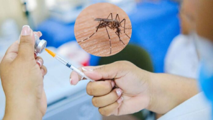 Alertan sobre circulación de fiebre amarilla en zonas fronterizas con Venezuela