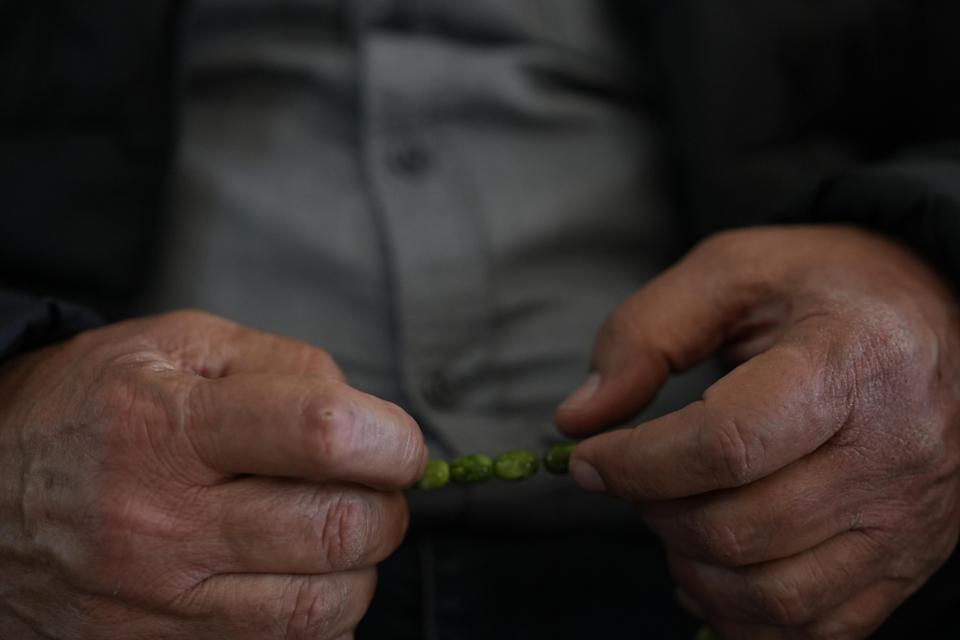 Ensayos muestran seguridad en terapias de células madre para el Parkinson