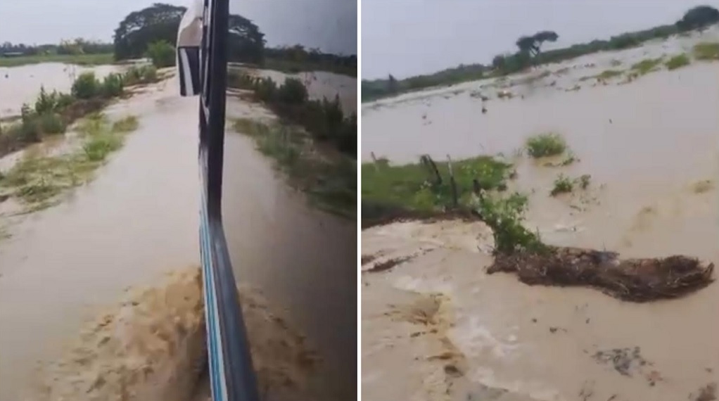 Continúan inundadas la carretera y los campos de la parroquia Santa Inés en Barinas