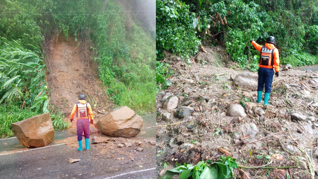 Intensas lluvias provocaron deslizamientos de tierra y colapso de la vía Barinas-Mérida (Videos)