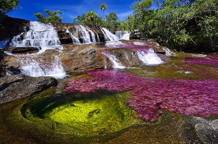 El río más bello de todo el mundo se encuentra en Sudamérica y no es el que imaginas