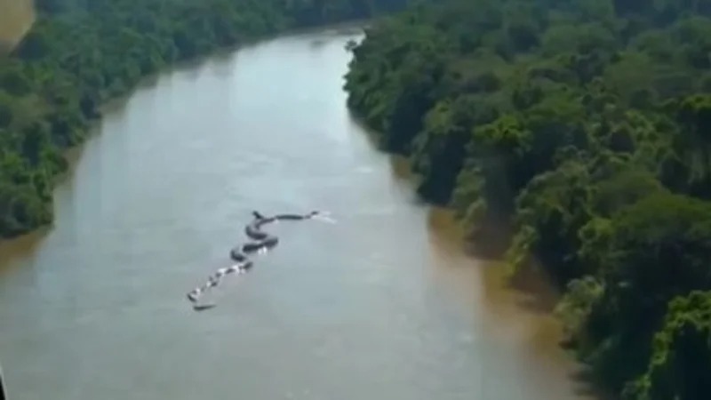 VIDEO impresiona a todos: ¿Anaconda gigante en el Amazonas es real?