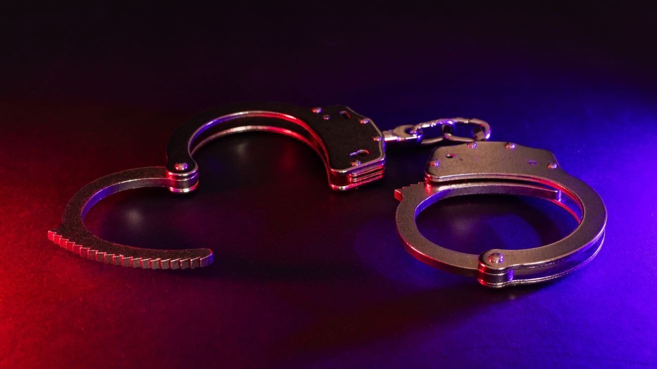 Horror en Florida: Influencer fue arrestada por grabar acto sexual con un perro a cambio de dinero